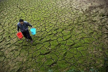 Ученые разрабатывают средство для растений против засухи