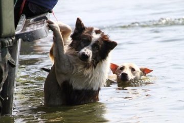 С помощью нанотехнологий можно будет отслеживать даже планктон