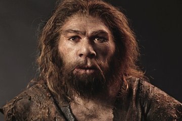 Неандертальцы умирали не чаще Homo Sapiens от серьезных травм