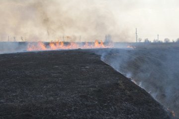 Влияние огня на влажность почвы