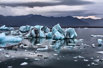 Исчезающий морской лед может разрушить пищевую сеть Арктики